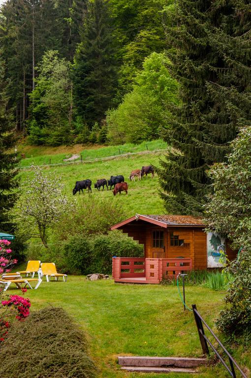 Holzschuhs Schwarzwaldhotel Baiersbronn Dış mekan fotoğraf